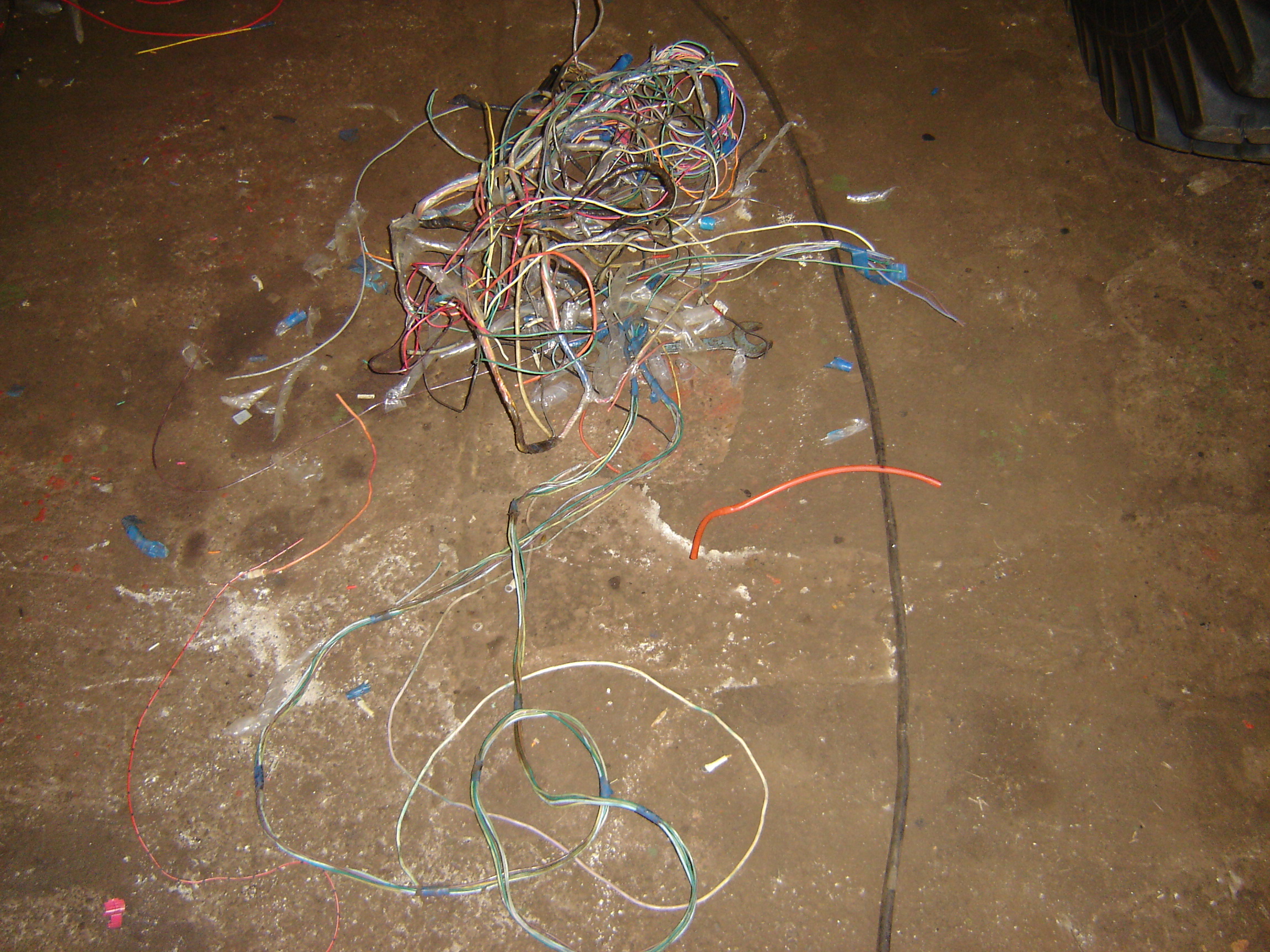 dsc09284.jpg