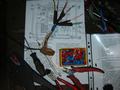 dsc09280.jpg